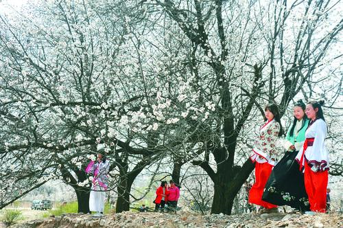 iOS设备展示直播界面